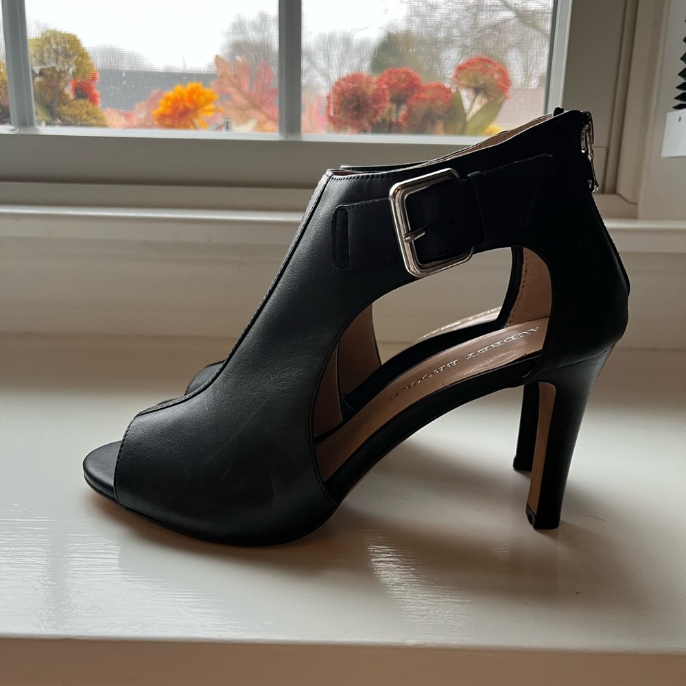 Audrey Brooke Heels